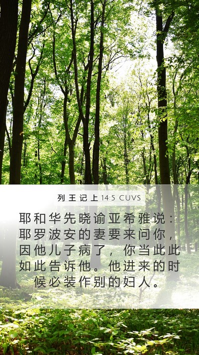 列 王 记 上 14:5 CUVS Bible Verse Image