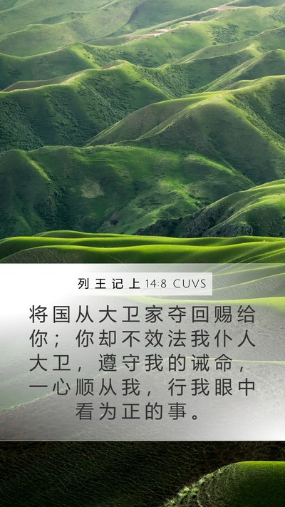 列 王 记 上 14:8 CUVS Bible Verse Image