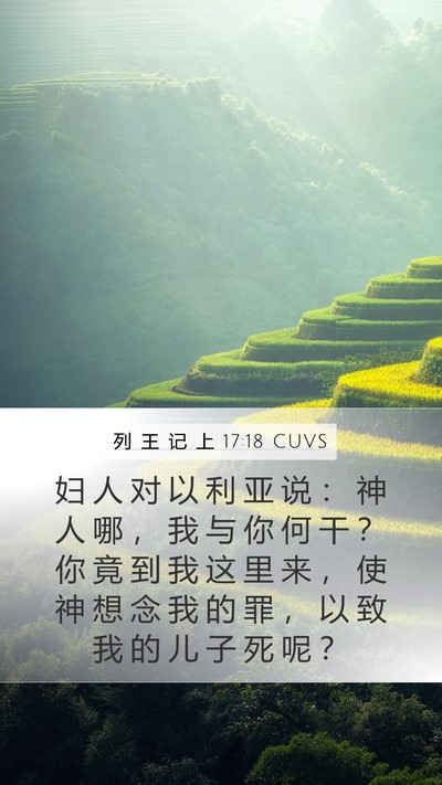 列 王 记 上 17:18 CUVS Bible Verse Image