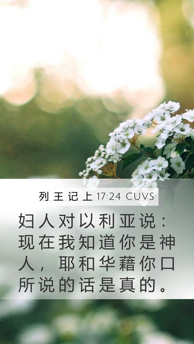 列 王 记 上 17:24 CUVS Bible Verse Image