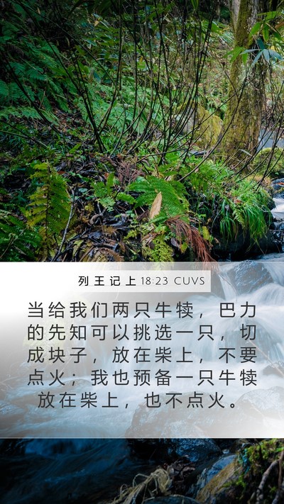 列 王 记 上 18:23 CUVS Bible Verse Image