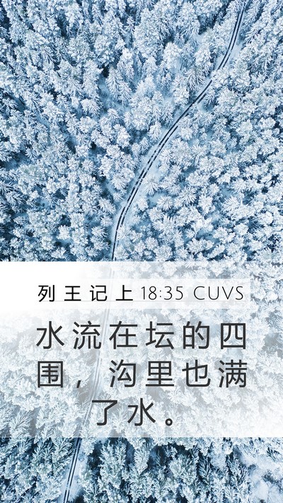 列 王 记 上 18:35 CUVS Mobile Phone Wallpaper - 水 流 在 坛 的 四 围 ， 沟 里 也 满 - Mobile Bible Verse Wallpaper