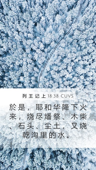 列 王 记 上 18:38 CUVS Bible Verse Image