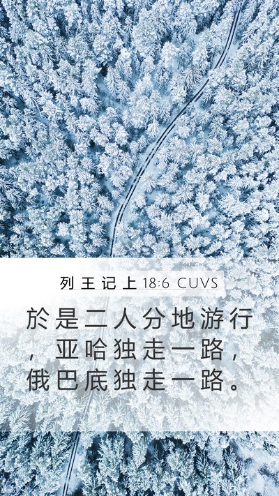 列 王 记 上 18:6 CUVS Mobile Phone Wallpaper - 於 是 二 人 分 地 游 行 ， 亚 哈 独 - Mobile Bible Verse Wallpaper