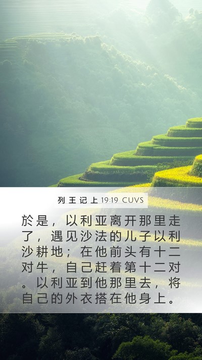 列 王 记 上 19:19 CUVS Bible Verse Image