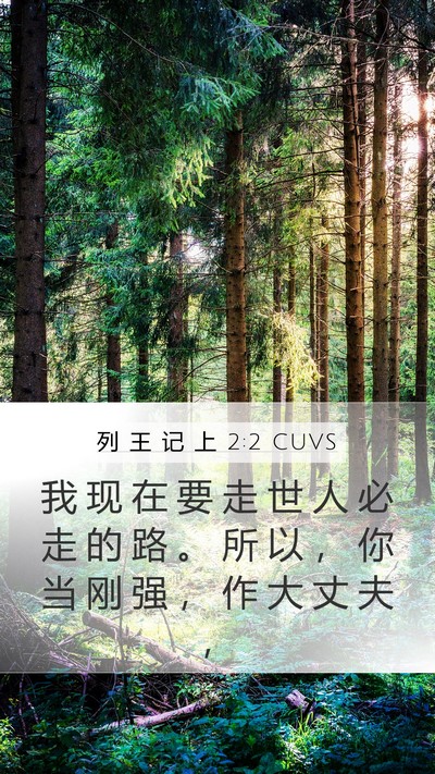 列 王 记 上 2:2 CUVS Bible Verse Image