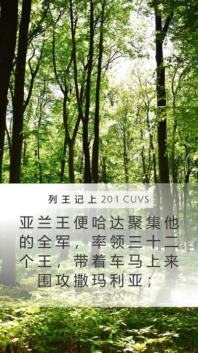 列 王 记 上 20:1 CUVS Bible Verse Image