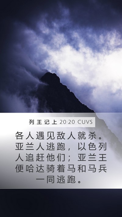 列 王 记 上 20:20 CUVS Bible Verse Image
