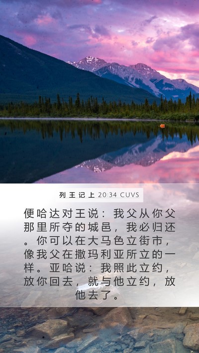 列 王 记 上 20:34 CUVS Bible Verse Image