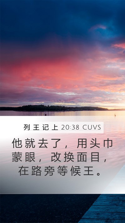 列 王 记 上 20:38 CUVS Bible Verse Image