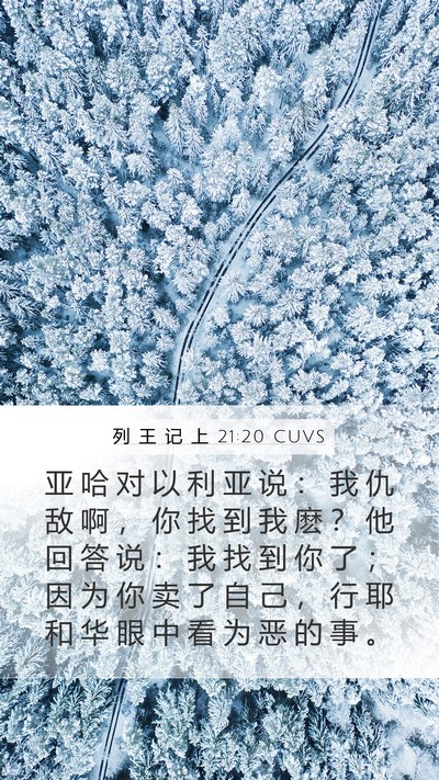 列 王 记 上 21:20 CUVS Bible Verse Image