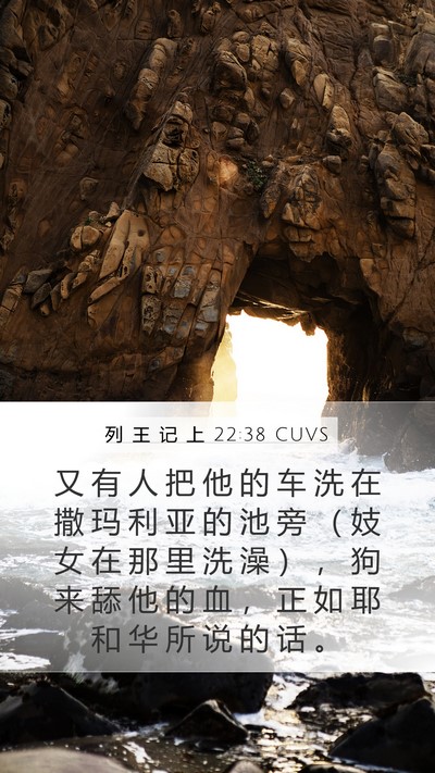 列 王 记 上 22:38 CUVS Bible Verse Image
