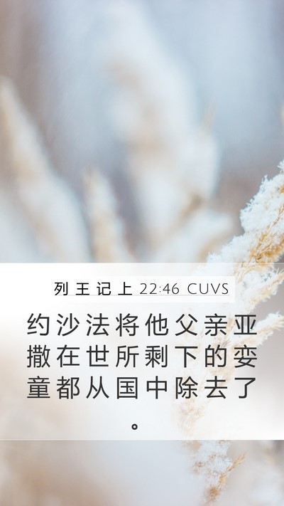 列 王 记 上 22:46 CUVS Bible Verse Image