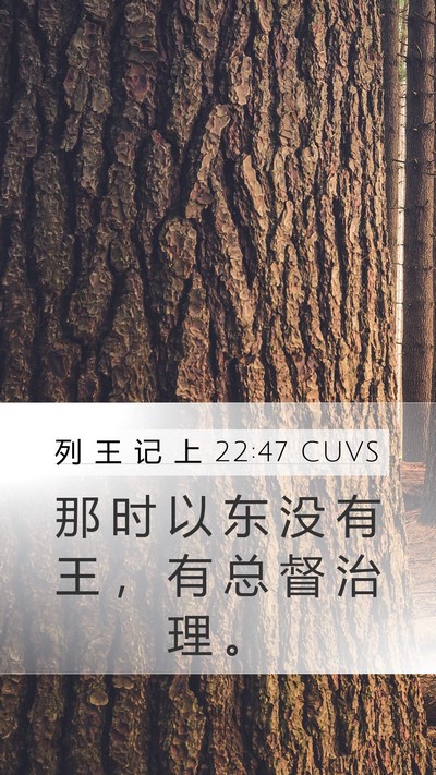 列 王 记 上 22:47 CUVS Bible Verse Image