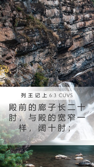 列 王 记 上 6:3 CUVS Bible Verse Image