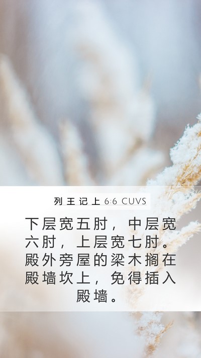 列 王 记 上 6:6 CUVS Mobile Phone Wallpaper - 下 层 宽 五 肘 ， 中 层 宽 六 肘 ， - Mobile Bible Verse Wallpaper