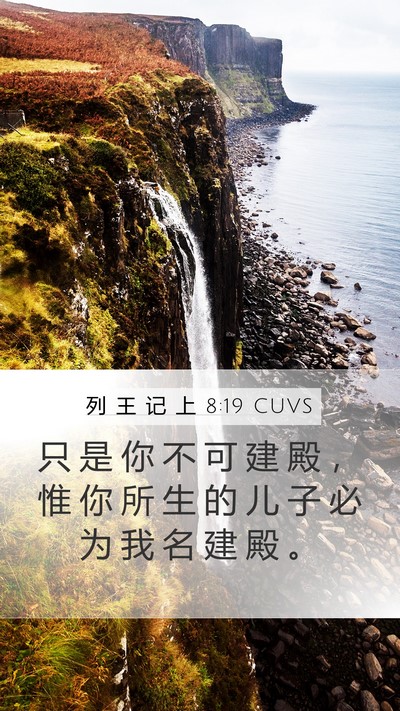 列 王 记 上 8:19 CUVS Bible Verse Image