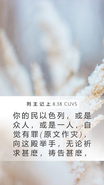 列 王 记 上 8:38 CUVS Bible Verse Image