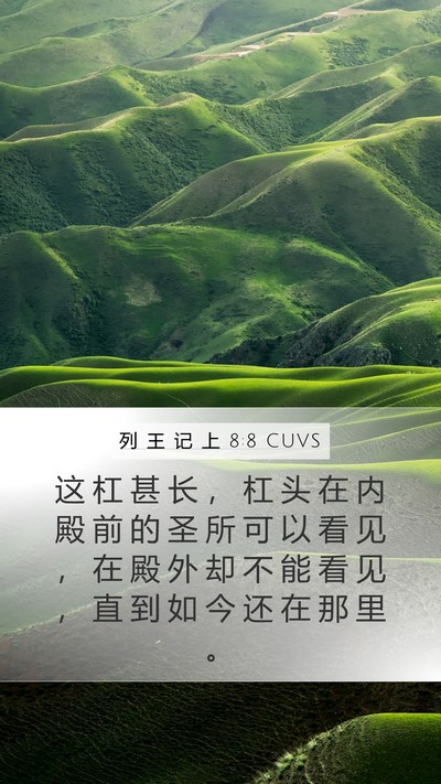 列 王 记 上 8:8 CUVS Mobile Phone Wallpaper - 这 杠 甚 长 ， 杠 头 在 内 殿 前 的 - Mobile Bible Verse Wallpaper