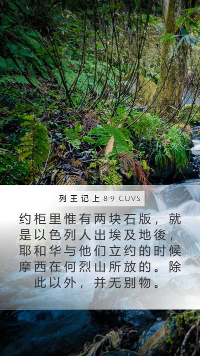 列 王 记 上 8:9 CUVS Bible Verse Image