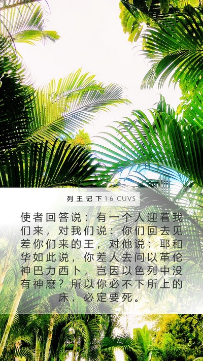 列 王 记 下 1:6 CUVS Bible Verse Image