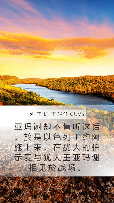列 王 记 下 14:11 CUVS Bible Verse Image