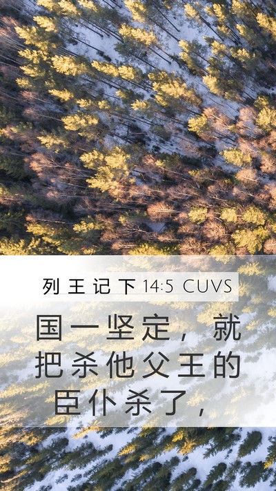 列 王 记 下 14:5 CUVS Mobile Phone Wallpaper - 国 一 坚 定 ， 就 把 杀 他 父 王 的 - Mobile Bible Verse Wallpaper
