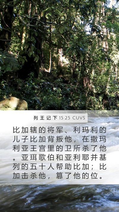 列 王 记 下 15:25 CUVS Bible Verse Image