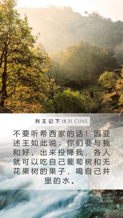 列 王 记 下 18:31 CUVS Bible Verse Image