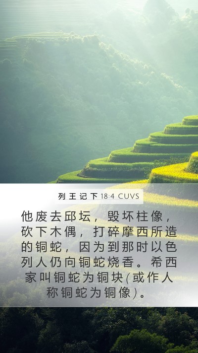 列 王 记 下 18:4 CUVS Bible Verse Image