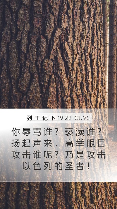 列 王 记 下 19:22 CUVS Bible Verse Image