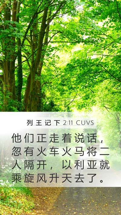 列 王 记 下 2:11 CUVS Bible Verse Image