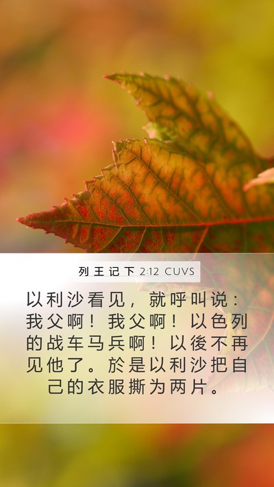列 王 记 下 2:12 CUVS Bible Verse Image