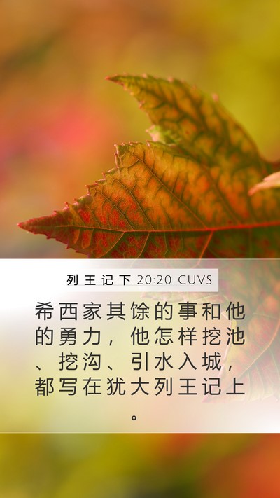 列 王 记 下 20:20 CUVS Bible Verse Image