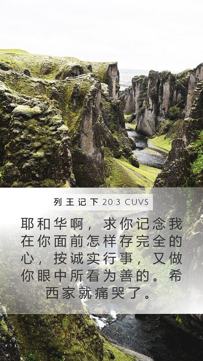 列 王 记 下 20:3 CUVS Bible Verse Image