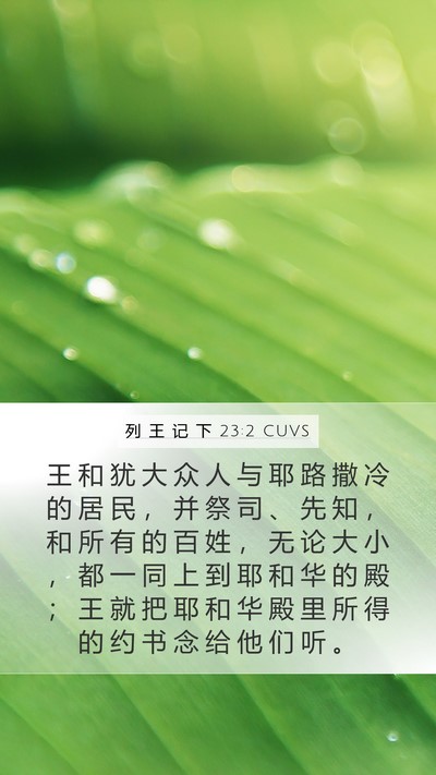 列 王 记 下 23:2 CUVS Bible Verse Image