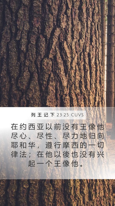 列 王 记 下 23:25 CUVS Bible Verse Image