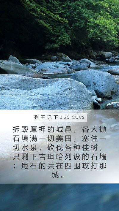 列 王 记 下 3:25 CUVS Bible Verse Image