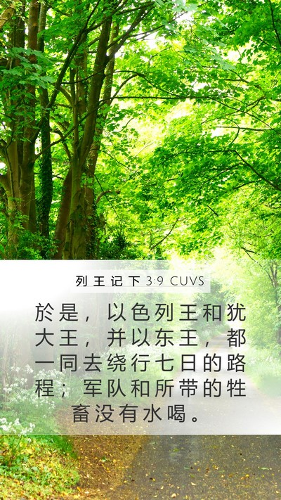 列 王 记 下 3:9 CUVS Mobile Phone Wallpaper - 於 是 ， 以 色 列 王 和 犹 大 王 ， - Mobile Bible Verse Wallpaper