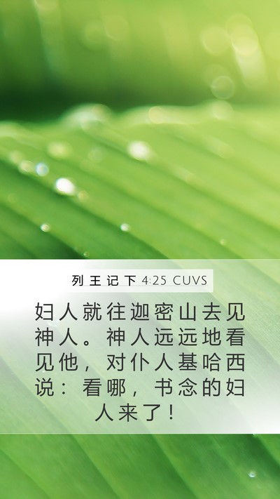 列 王 记 下 4:25 CUVS Bible Verse Image