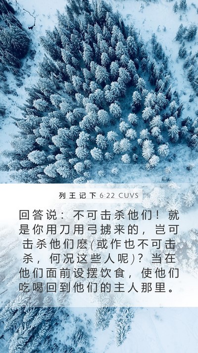 列 王 记 下 6:22 CUVS Bible Verse Image