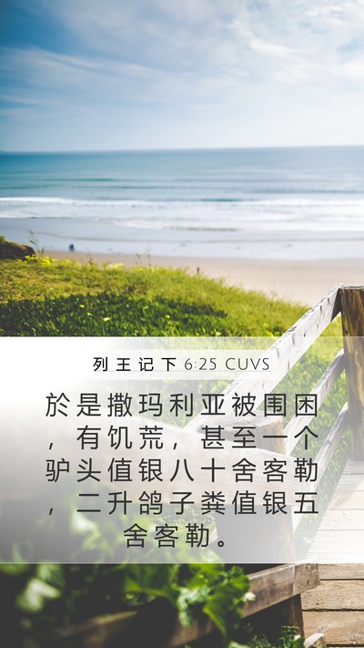 列 王 记 下 6:25 CUVS Bible Verse Image