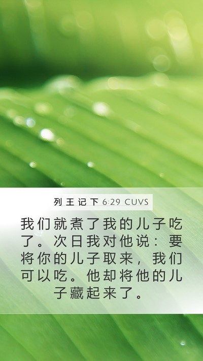列 王 记 下 6:29 CUVS Mobile Phone Wallpaper - 我 们 就 煮 了 我 的 儿 子 吃 了 。 - Mobile Bible Verse Wallpaper