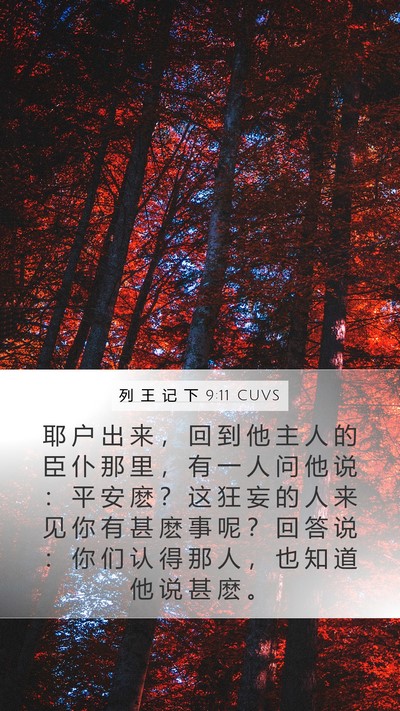列 王 记 下 9:11 CUVS Bible Verse Image