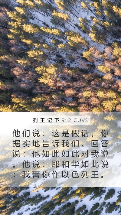 列 王 记 下 9:12 CUVS Mobile Phone Wallpaper - 他 们 说 ： 这 是 假 话 ， 你 据 实 - Mobile Bible Verse Wallpaper