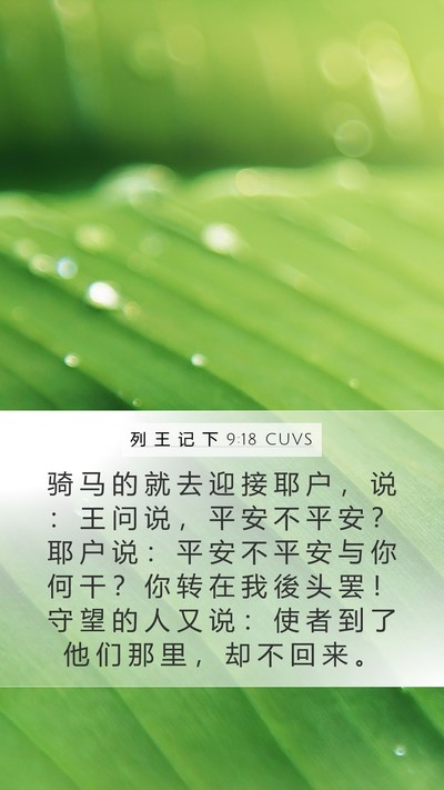 列 王 记 下 9:18 CUVS Bible Verse Image