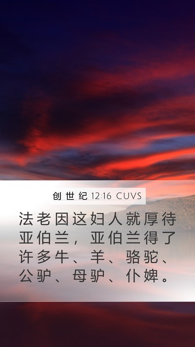 创 世 纪 12:16 CUVS Bible Verse Image