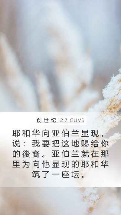 创 世 纪 12:7 CUVS Bible Verse Image