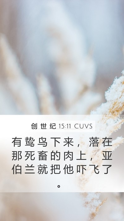 创 世 纪 15:11 CUVS Bible Verse Image
