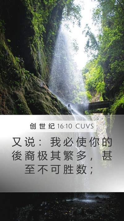 创 世 纪 16:10 CUVS Mobile Phone Wallpaper - 又 说 ： 我 必 使 你 的 後 裔 极 其 - Mobile Bible Verse Wallpaper